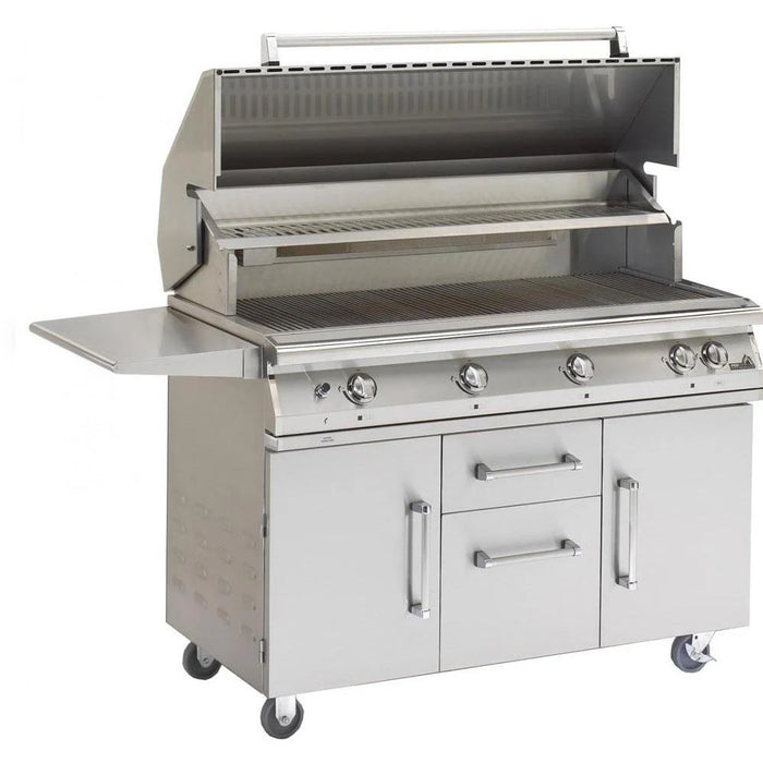 Commercial Gas grill